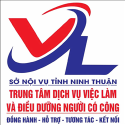 CÔNG TY TNHH MTV GIẢI PHÁP NHÂN SỰ OSVN